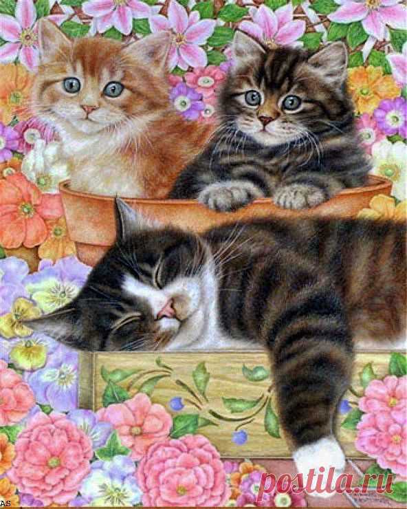 Anne Mortimer.