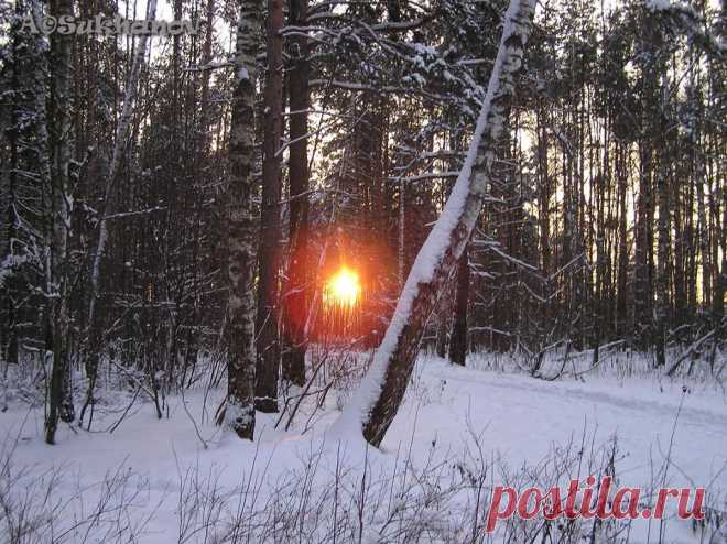 ФОТОМАСТЕРСКАЯ ПРИРОДЫ
Александр Суханов