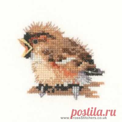 Birds - Sparrow - Valerie Pfeiffer Little Friends Cross Stitch Kit from Heritage Crafts
