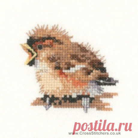 Birds - Sparrow - Valerie Pfeiffer Little Friends Cross Stitch Kit from Heritage Crafts