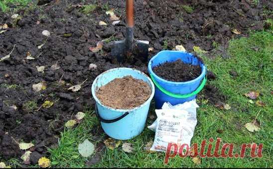 ВАЖНО ЗНАТЬ: Фосфорно-калийные удобрения восстанавливают баланс питательных веществ в почве и в самих растениях, способствуют закладке плодовых почек на новый сезон и накоплению в растительных тканях достаточного количества пластических веществ для хорошей перезимовки, создают запас питания в почве для возобновления вегетации весной следующего года. Органические удобрения улучшат структуру, воздухообмен и водоудерживающую способность почвы. 
Жидкие гуминовые удобрения способствуют сохранению орг