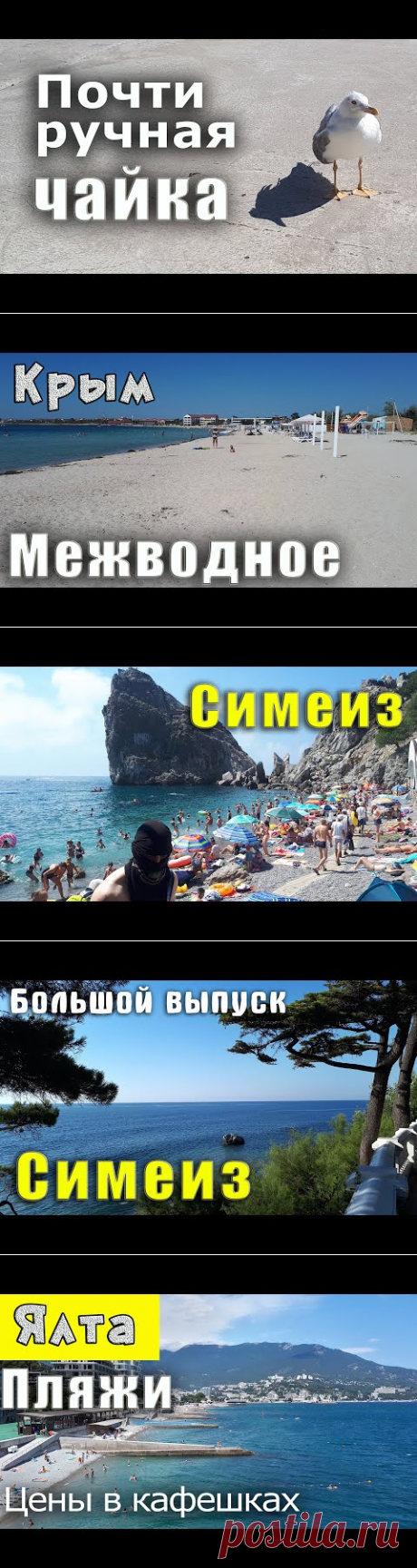 Кормлю чаек на море. Одна из них, самая ручная, берет прямо из рук. - YouTube