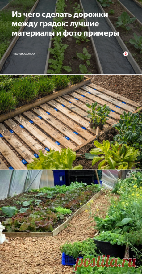 Из чего сделать дорожки между грядок: лучшие материалы и фото примеры | Pro100ogorod | Яндекс Дзен