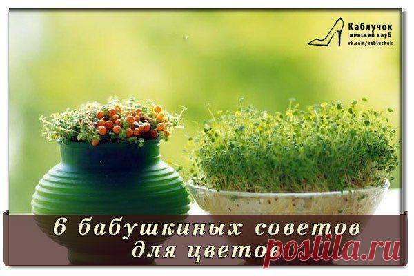 Женский клуб "Каблучок"