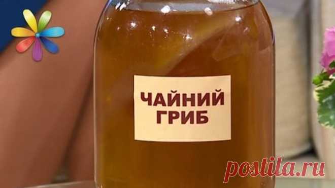 1 непрочитанный чат