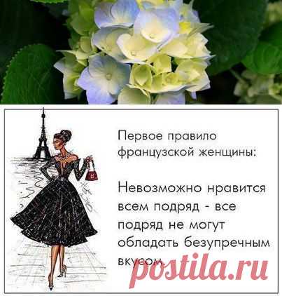 " https://www.facebook.com/wopassion " "Женские страсти" сообщество Фейсбука здесь все о женской красоте, моде, здоровье, отношениях и многое другое