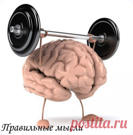 Секреты вашего мозга: как запоминать легко и быстро! / Восприятие бизнеса