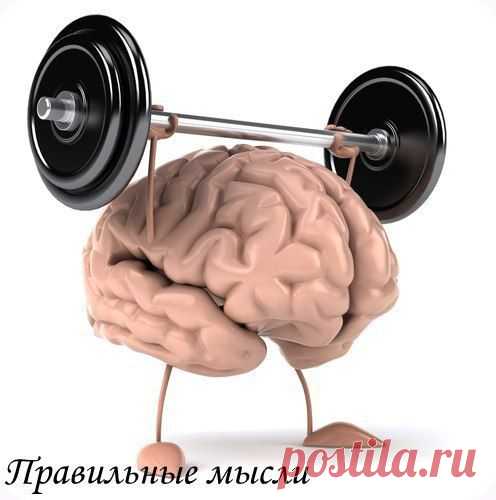 Секреты вашего мозга: как запоминать легко и быстро! / Восприятие бизнеса