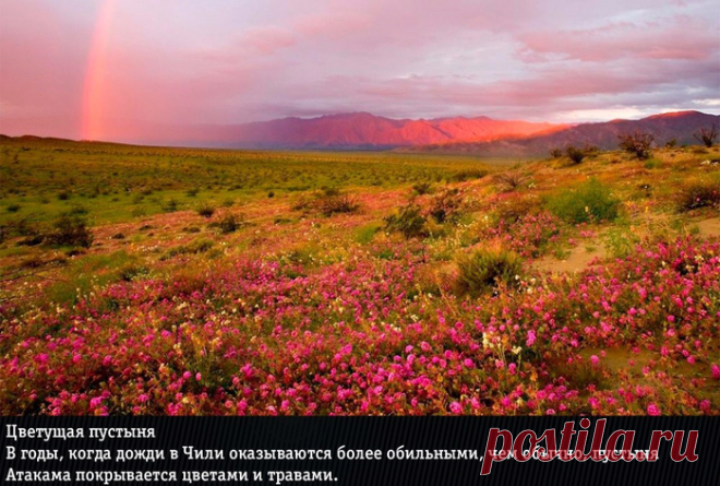 Удивительные явления природы