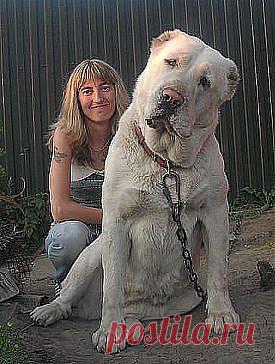 ВОТ ЭТО АЗИАТ