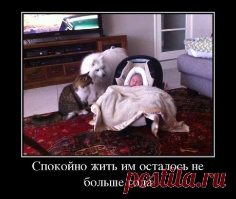 Философия | Записи в рубрике Философия | Дневник Александр_Лобков