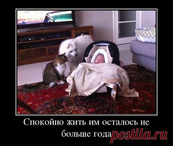 Философия | Записи в рубрике Философия | Дневник Александр_Лобков