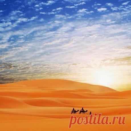 الصديق الحميم
