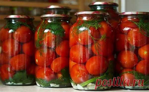 Внешний вид помидор и их вкус может подсказать, можно ли их брать для консервирования — Дачный участок