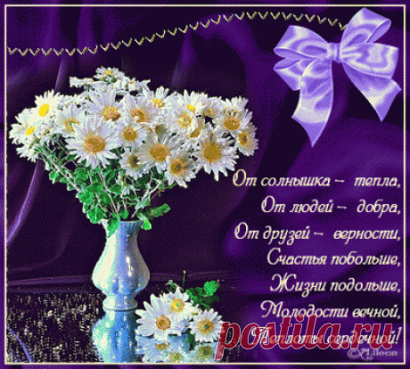 pogelaniya_3