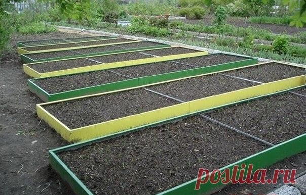 Делаем грядку, которую не надо будет перекапывать каждый год! &#8212; Планета и человек