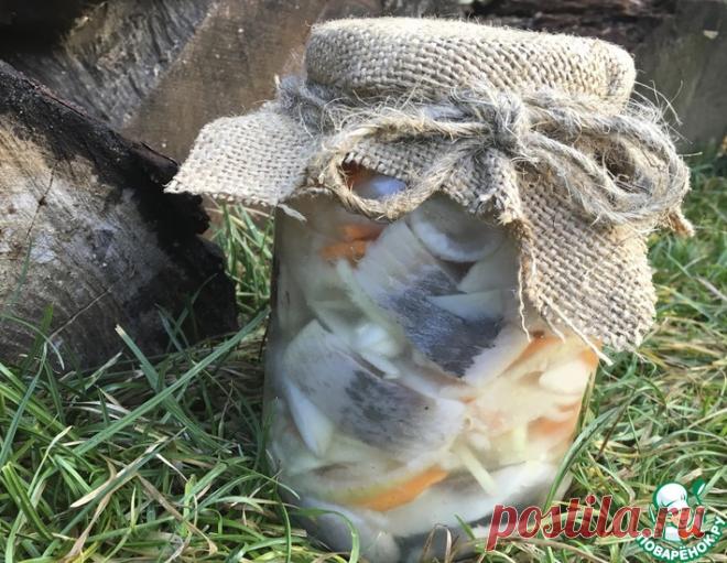 Рождественская маринованная сельдь - кулинарный рецепт