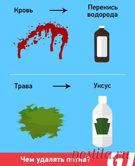 (22) Одноклассники