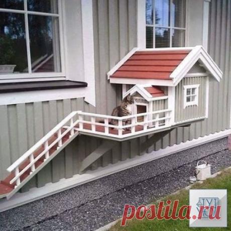 Одноклассники