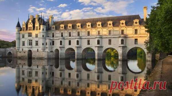 Кустарники, которые красиво цветут все лето