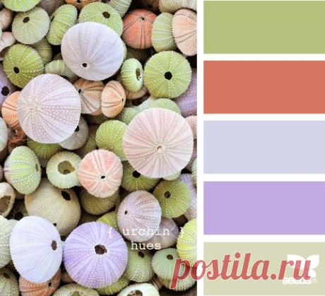 Pinterest: инструмент для поиска и хранения интересных идей