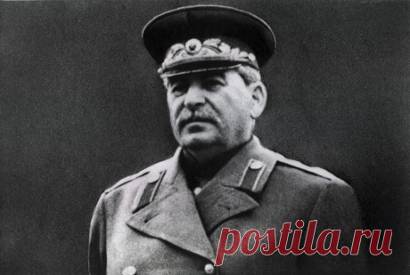 Внучка Сталина поразила пользователей Сети фото - Леди Mail.Ru