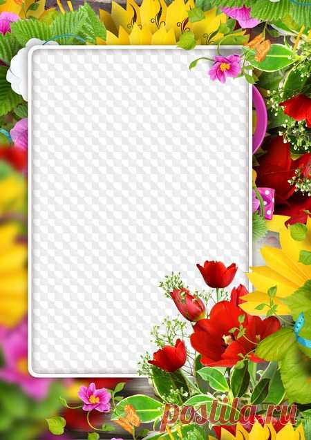 PSD, PNG, Vertical Photo frame with flowers. Transparent PNG Frame, PSD Layered Photo frame template, Download.