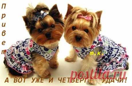 Новости
