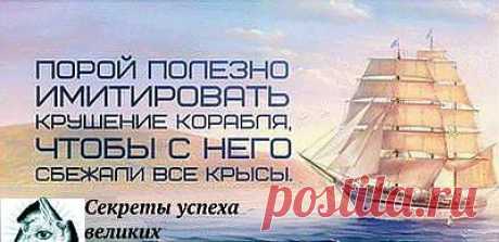 Кто есть кто