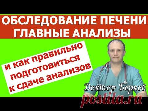 Главные анализы для печени. Диагностика печени. Биохимия печени. Подготовиться к сдаче анализа.