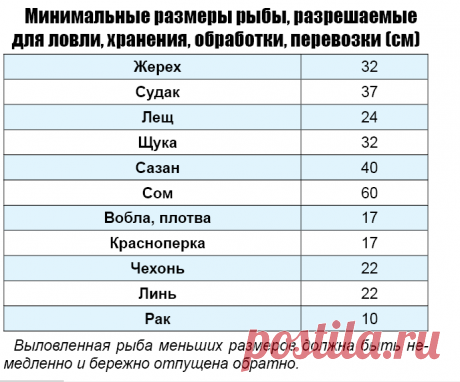Какого размера, что, когда, на что можно ловить в Астраханской области - смотри в таблице | КаспийИнфо