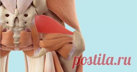 Ротаторы бедра