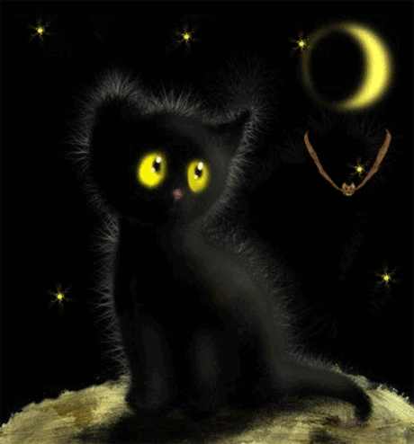 92155130_kitten11.gif (400×430)