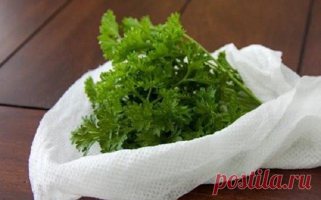 Как необычно использовать бумажные полотенца / Домоседы