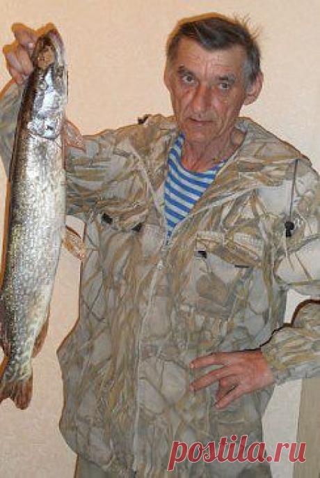 ПАВЛОДАРЦЫ!!! ВНИМАНИЕ!!!
Людмила Шарова (Белаш)
03.04.2014 г. Мой муж Белаш Юрий Федорович ушёл на рыбалку в сторону Иртыша и до сих пор не пришёл домой. Кто обладает какой либо информацией, прошу позвонить по телефону дом. 55 18 05, сот. 8 777 418 21 84.