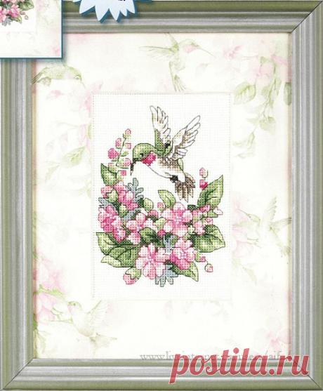 Цветы | Записи в рубрике Цветы | Дневник madam_Marina