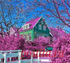 Pinterest • Всемирный каталог идей