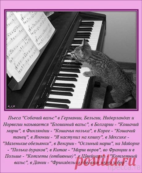 Интересные фото , видео, необычные вещи и случаи, интересные факты