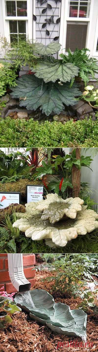 БОТАНИЧЕСКИЕ МК