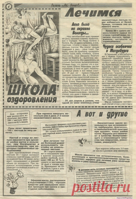 Лечимся эвкалиптом - 1-ая страница из двух