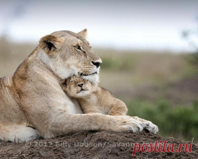 Фотографии на стене сообщества | 19 484 фотографии