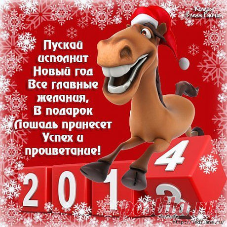 Год Лошади - сегодня ждите!.