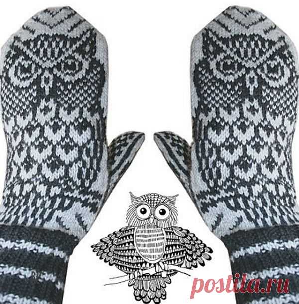 Уютные варежки с совами в центре внимания
