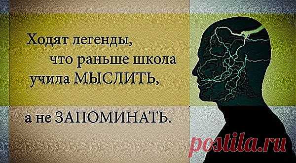 образование
