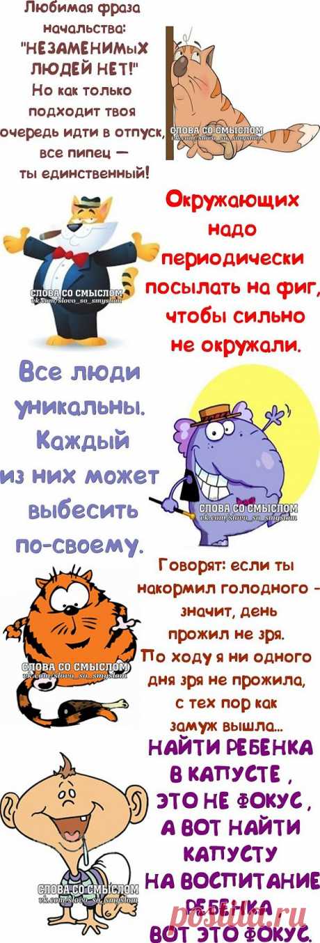 Прикольные фразочки со смыслом.