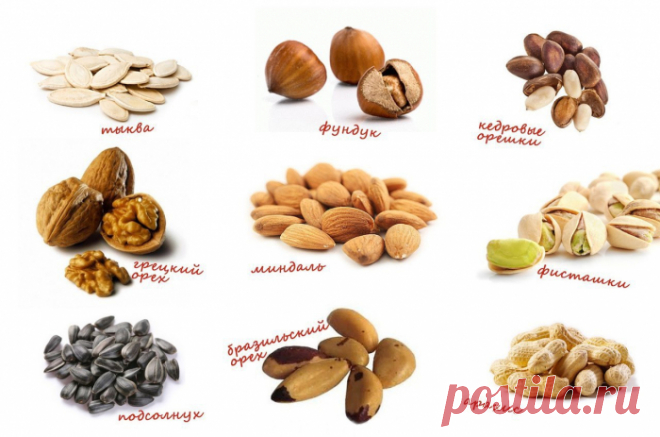 Самые полезные семечки и зёрна