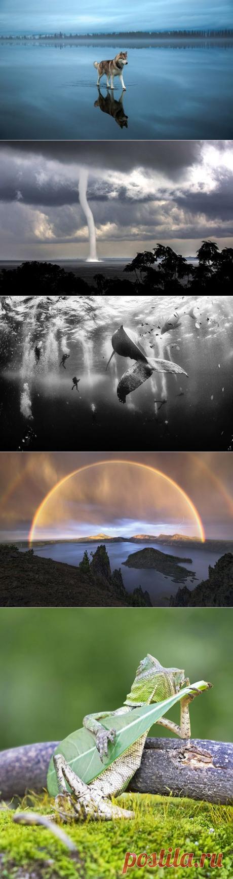 САМЫЕ ВПЕЧАТЛЯЮЩИЕ ФОТОГРАФИИ МАРТА 2015