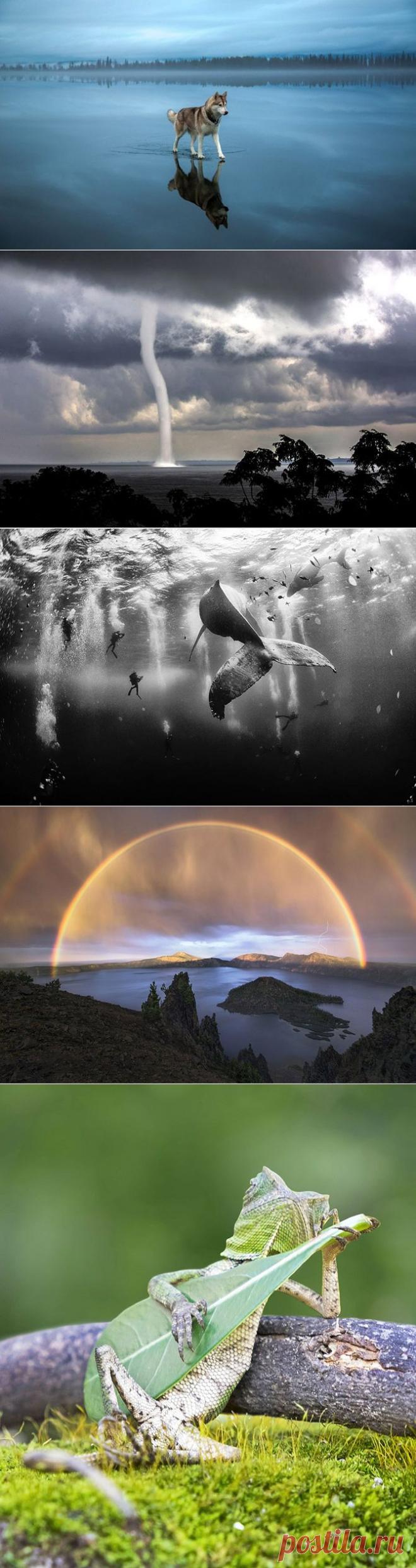 САМЫЕ ВПЕЧАТЛЯЮЩИЕ ФОТОГРАФИИ МАРТА 2015