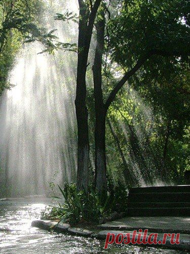 Психологическая самопомощь. Пойди на кухню, съешь... банан!