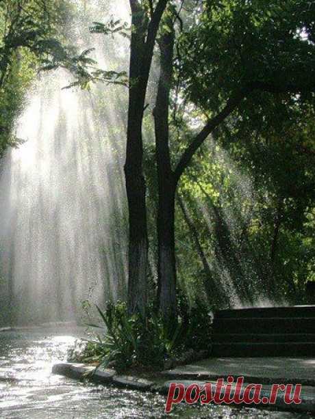 Психологическая самопомощь. Пойди на кухню, съешь... банан!